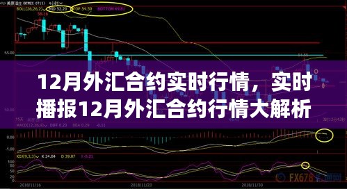 洞悉市場走勢，揭秘12月外匯合約實時行情與投資機(jī)遇
