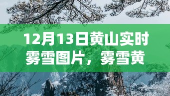 霧雪黃山，仙境再現(xiàn)，實時美景圖片分享