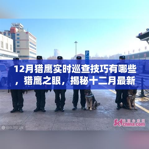 揭秘十二月獵鷹智能巡查系統(tǒng)，實時巡查技巧與高科技魅力展現獵鷹之眼的力量