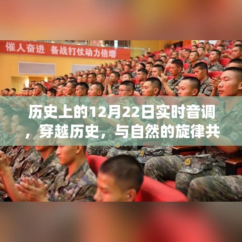 尋找內(nèi)心平靜的奇妙旅程，歷史上的12月22日實時音調(diào)與自然的旋律共舞