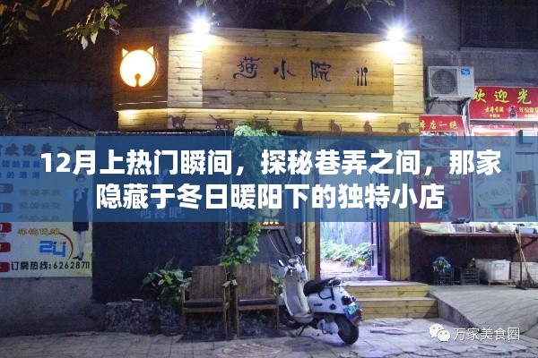 探秘冬日暖陽下的獨特小店，巷弄間的熱門瞬間