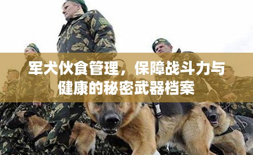 軍犬伙食管理，保障戰(zhàn)斗力與健康的秘密武器檔案