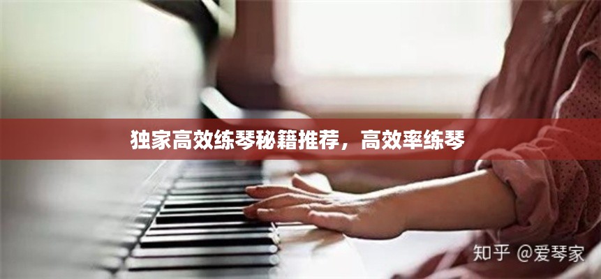 獨(dú)家高效練琴秘籍推薦，高效率練琴 