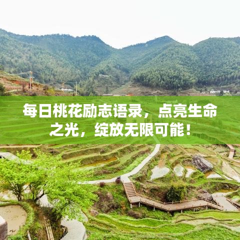 每日桃花勵志語錄，點(diǎn)亮生命之光，綻放無限可能！